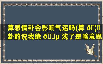 算感情卦会影响气运吗(算 🦅 卦的说我缘 🐵 浅了是啥意思)